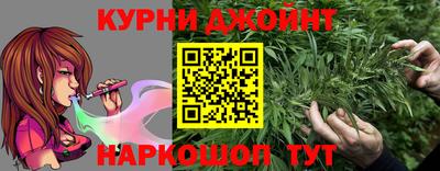 прущие грибы Канаш